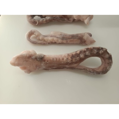Tintenfisch-Tentakel 120-300g roh TK 10kg Tintenfisch-Tentakel 120-300g roh TK 10kg