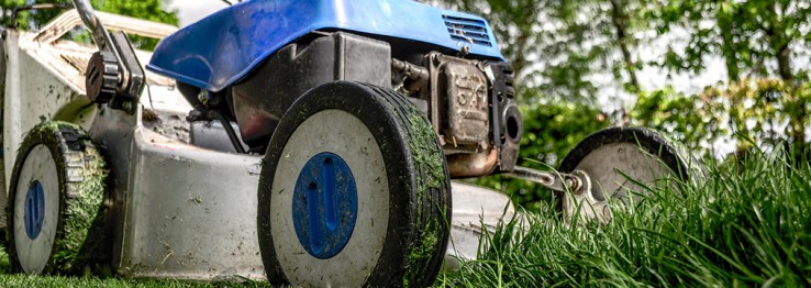 Gartenpflege Gartenpflege