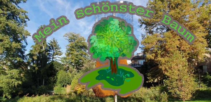 Entsprechender Antrag im Umweltausschuss Ende Januar 