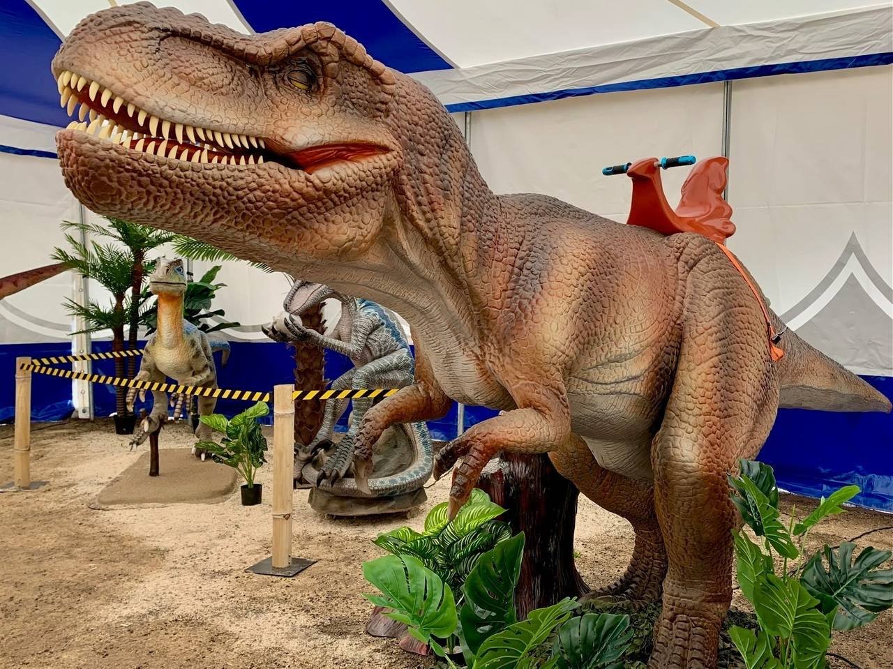 Dino-Event-bei-Ostermann-in-Haan3
