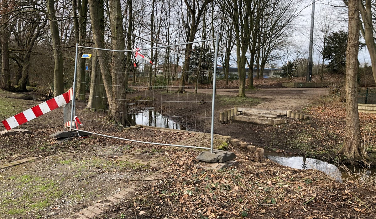 Bruecke-10-Februar