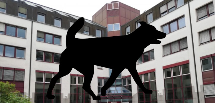 Stadt Hilden kontrolliert private Facebook-Konten - ein Kommentar Stadt Hilden kontrolliert private Facebook-Konten - ein Kommentar