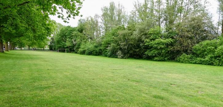 Stadt plant Naturerfahrungsraum Stadt plant Naturerfahrungsraum
