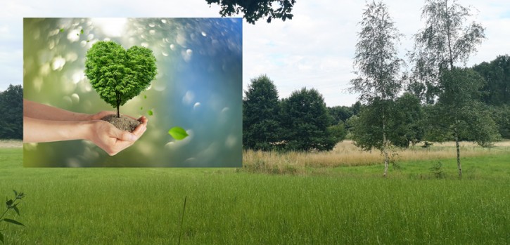 Biologische Station sorgt sich wegen Austrocknung und Schäden in der Natur Biologische Station sorgt sich wegen Austrocknung und Schäden in der Natur