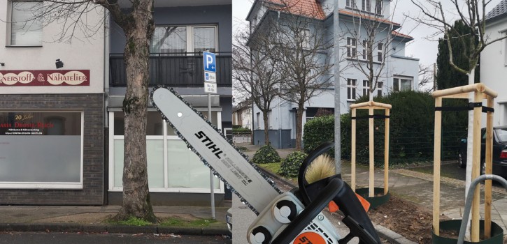 Warum die Stadt immer wieder die Säge kreisen lässt