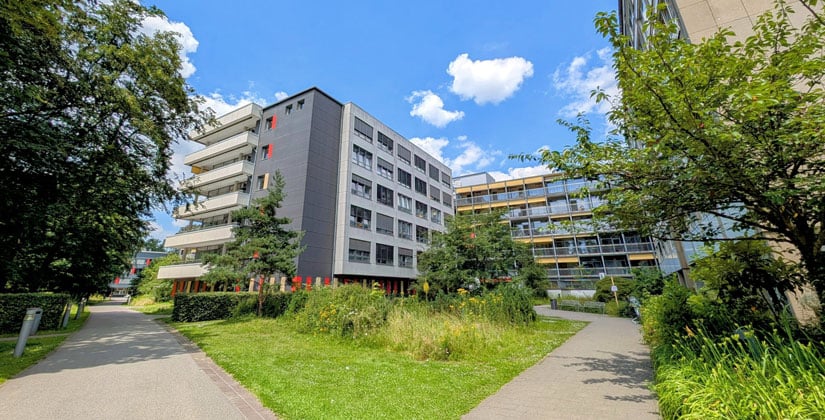 Netzwerk und Interessenvertretung für das Gesundheitswesen