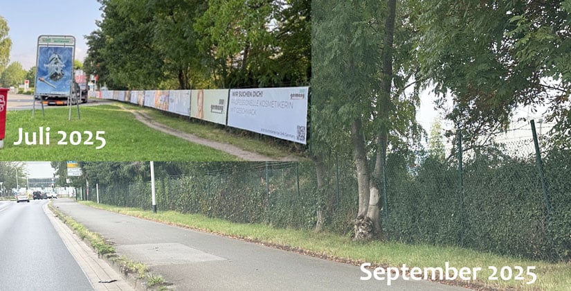Ordnungsamt hat Verfahren eingeleitet Ordnungsamt hat Verfahren eingeleitet