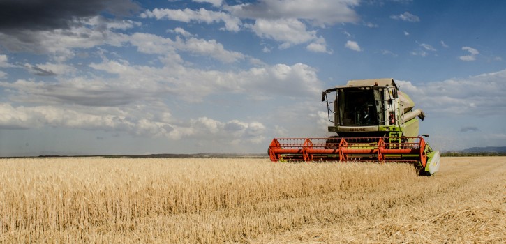 Zwei Prozent mehr als 2021, aber weiterhin unterdurchschnittlich 