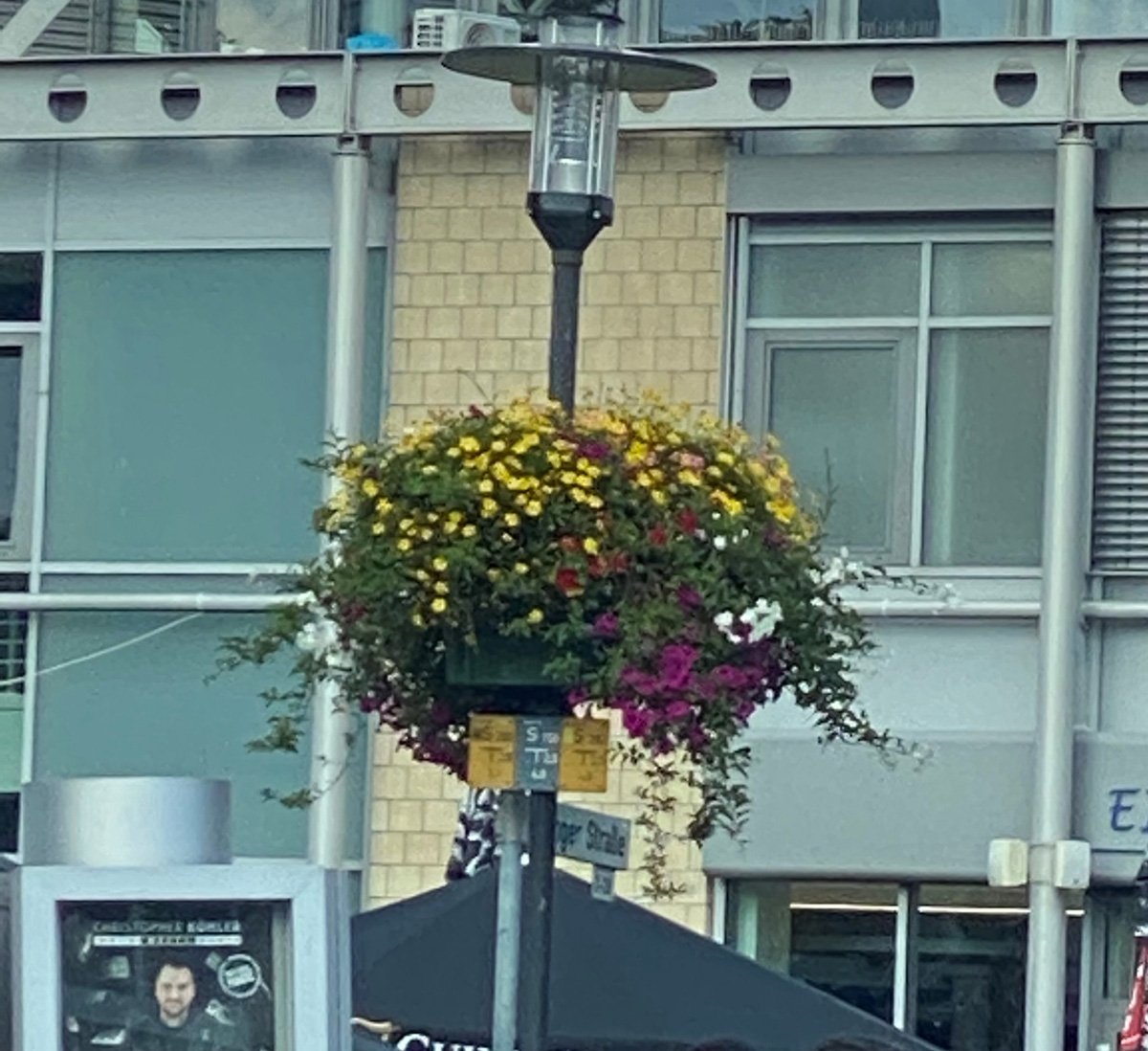 Blumenampel-Langenfeld