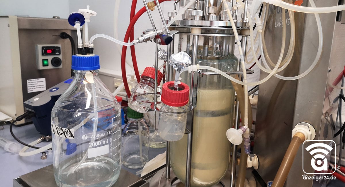 Artes-Biotechnology-Langenfeld-Impfstoff-Corona-Hefe