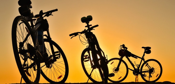 Beispiel Fahrradhandel: Beruhigung des Marktes erst in sieben Jahren?