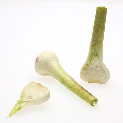 Knoblauch weiß frisch Kl.I Knoblauch weiß frisch Kl.I