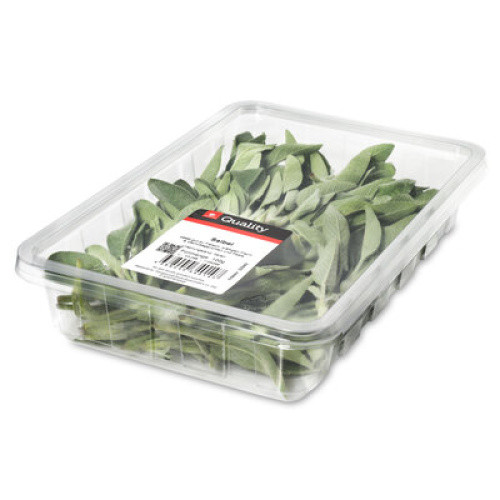 Salbei frisch 100g Salbei frisch 100g