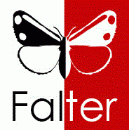 Künstlergruppe Falter