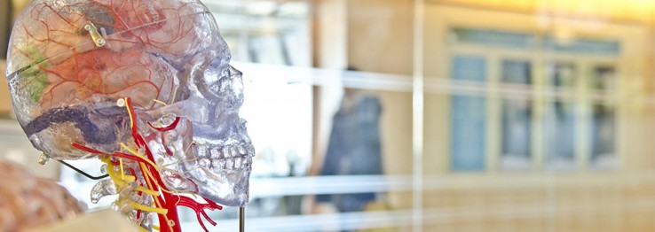 Neurochirurgie Neurochirurgie