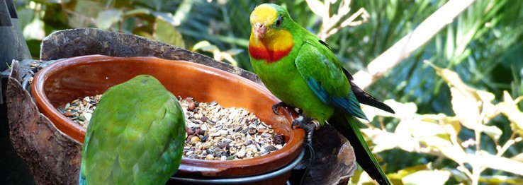 Tierzubehör Tierzubehör