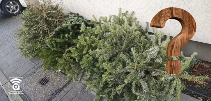 Wann-werden-die-Weihnachtsb-ume-abgeholt-anzeiger24-de-News
