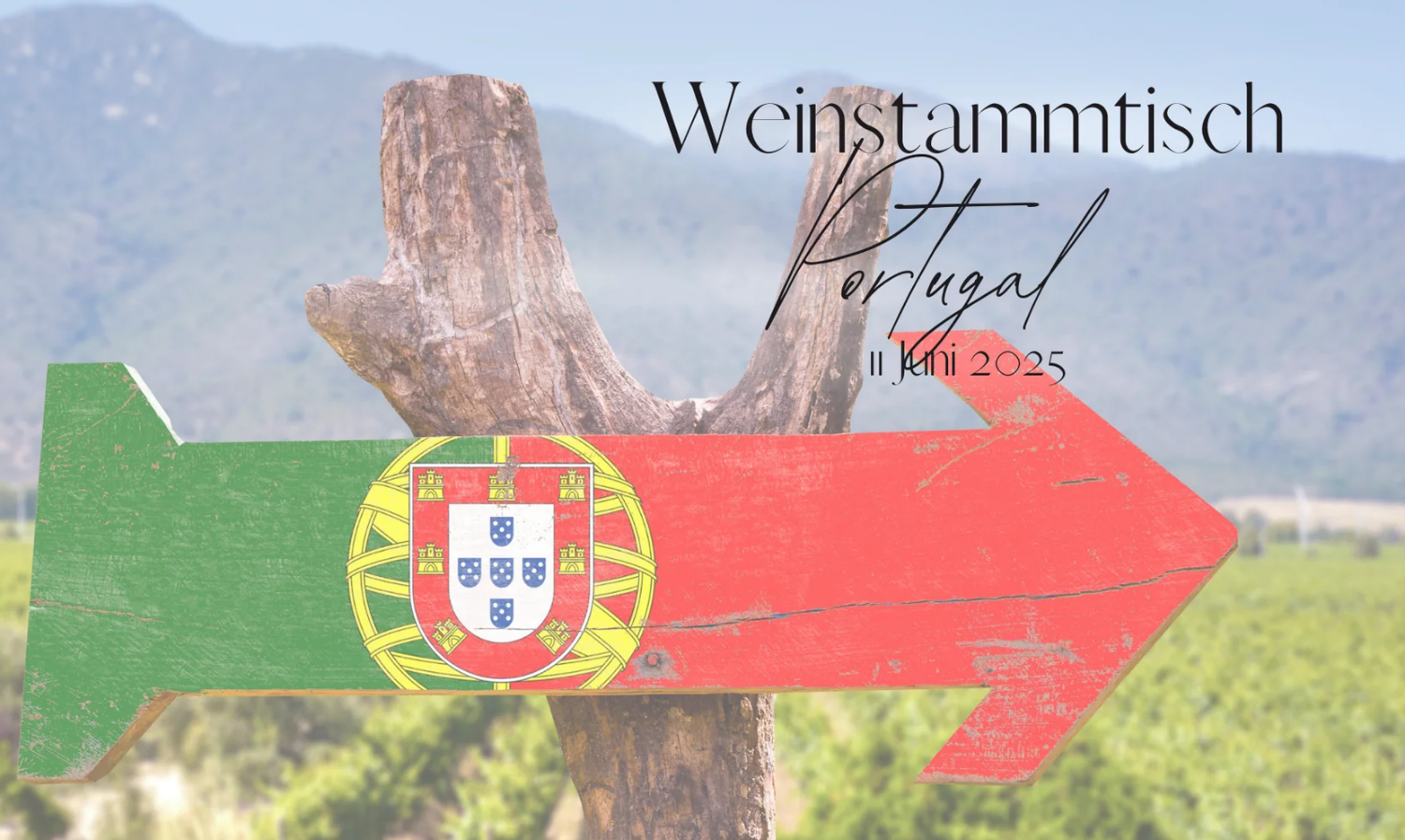 Vino-Vista-Weinstammtisch-Juli