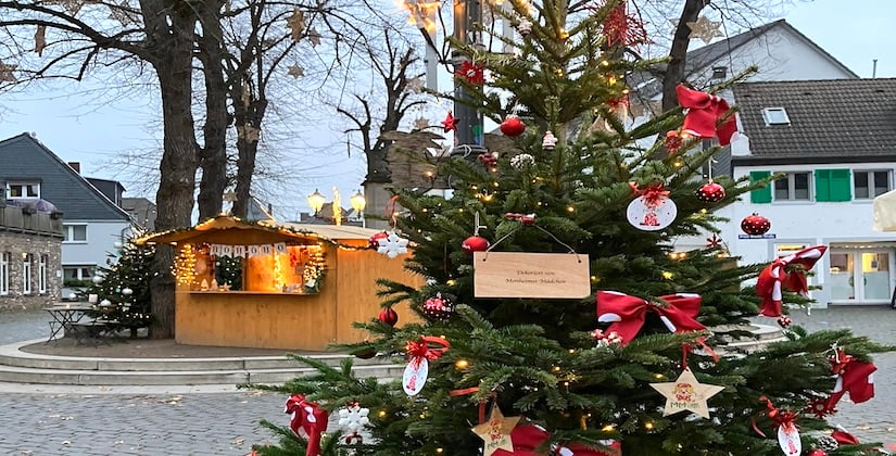 90 Tannenbäume strahlen zwischen Rathaus und Altstadt 