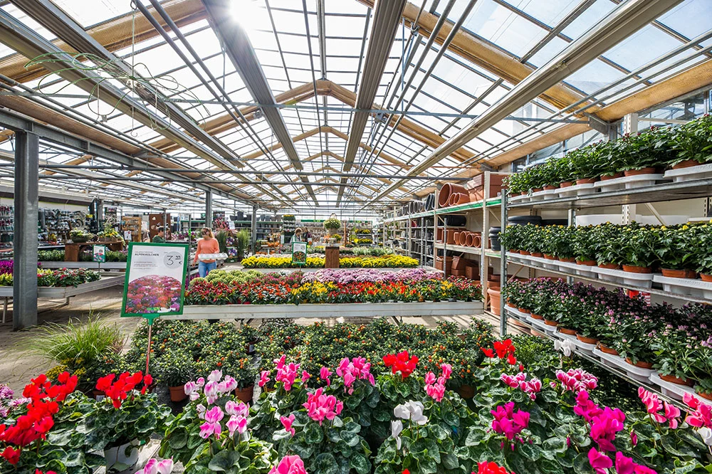 berghausener-blumentopf-blumenhandel-pflanzen-gartenzubehoer-geschenkartikel-garten-langenfeld-7a3pNaBZhfPH96