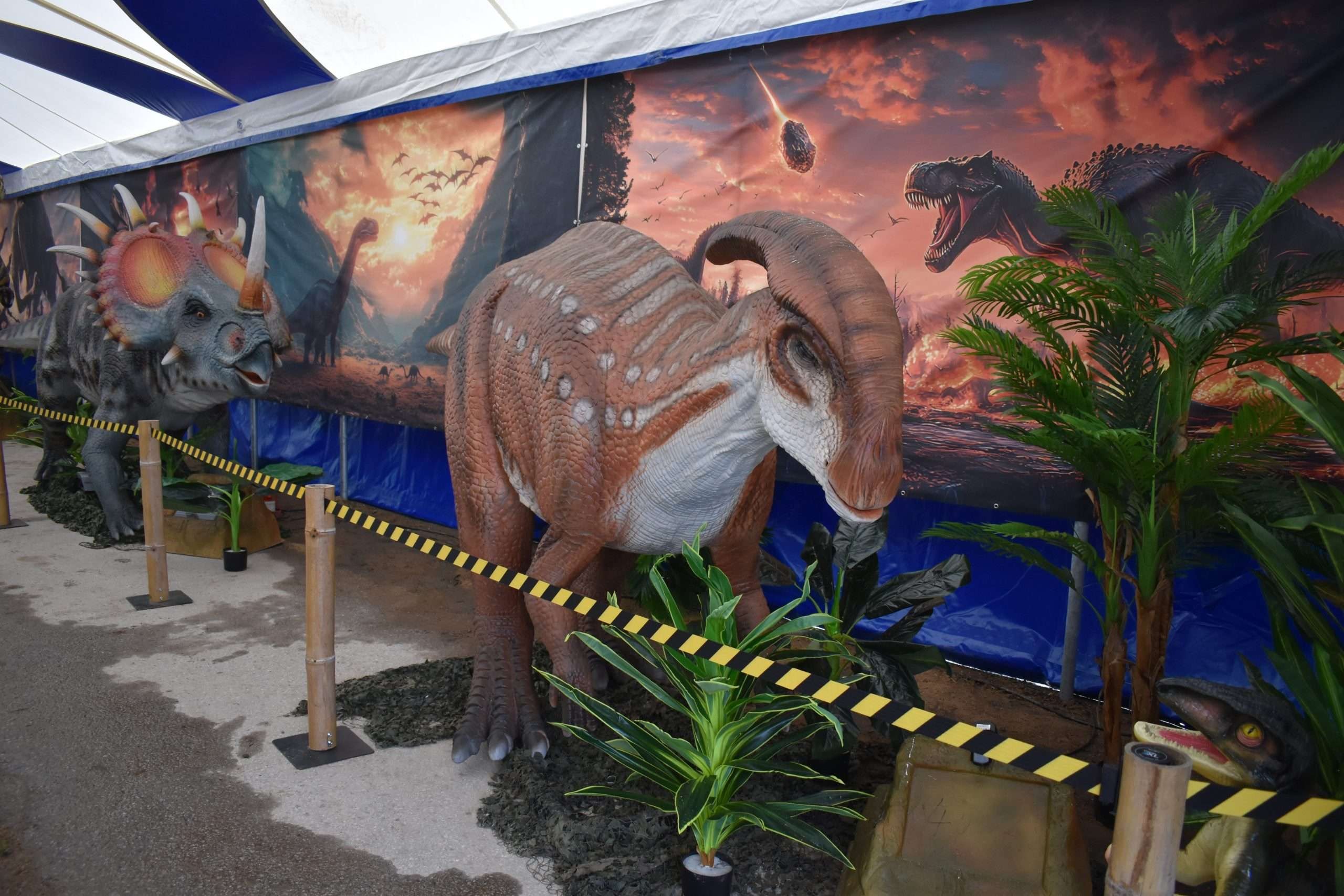 Dino-Event-bei-Ostermann-in-Haan4