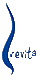 Physiotherapie revita