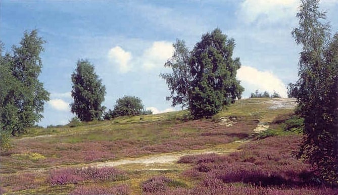 Hildener-Heide-vor-30-Jahren_Siegfried-Woike
