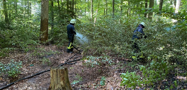 Feuer konnte frühzeitig entdeckt und eingedämmt werden 