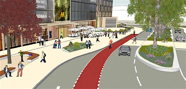 Stadt schafft 5 neue Bäume für 100.000 Euro an Stadt schafft 5 neue Bäume für 100.000 Euro an