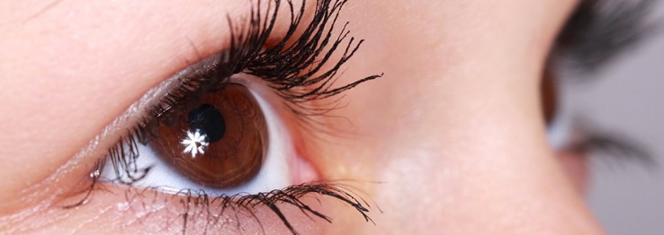 Kontaktlinsen Kontaktlinsen