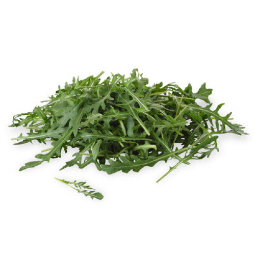 Bio Rucola küchenfertig frisch 300g Bio Rucola küchenfertig frisch 300g