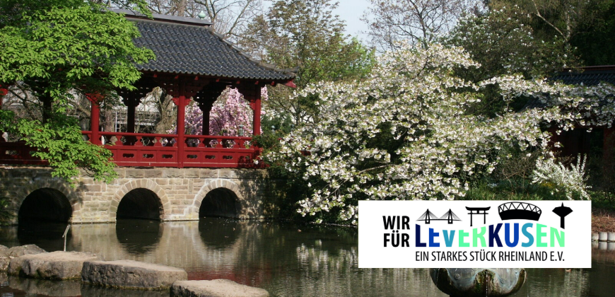 Stadtrundfahrten mit dem Verein „Wir für Lev e.V.“ 