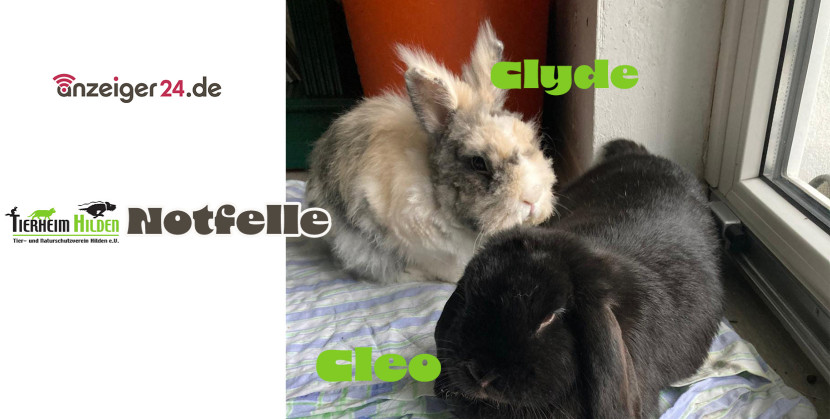 Cleo & Clyde: Zwei Herzen, ein Hoppeln Cleo & Clyde: Zwei Herzen, ein Hoppeln