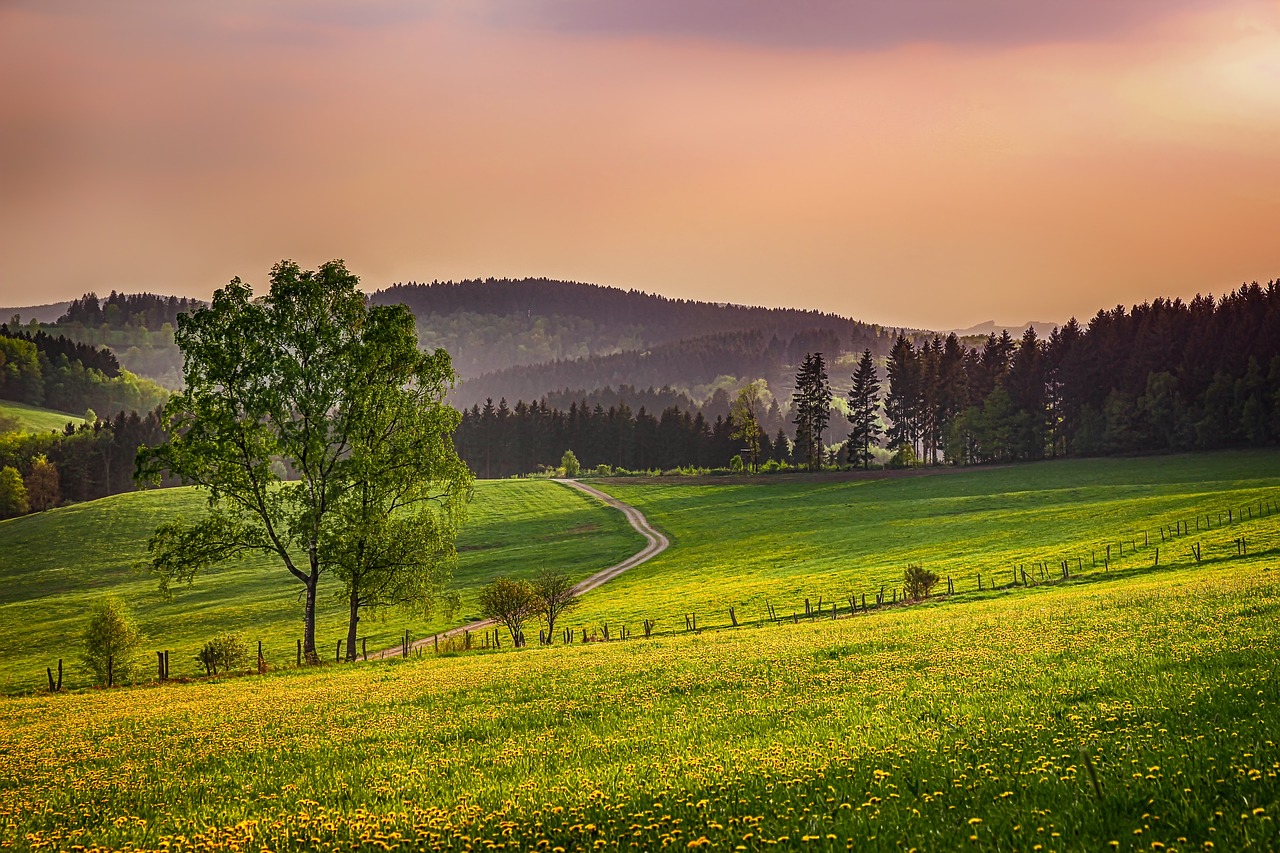 Bei-Sonnenaufgang-auf-den-gruenen-Weiden-des-bergigen-Sauerlands-wandern-Urlaub-buchen-mit-Tubal-Reisen