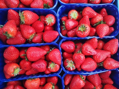 Erdbeeren Grünfutter Hilden