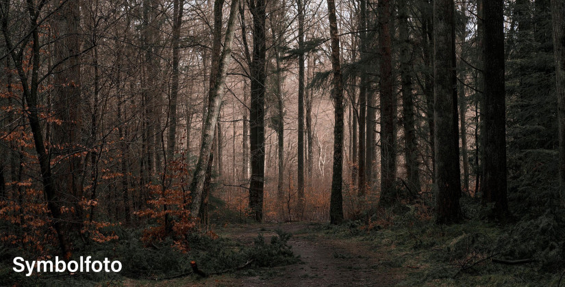 Schutz für den Nachwuchs: Spaziergänger sollten Rücksicht nehmen Schutz für den Nachwuchs: Spaziergänger sollten Rücksicht nehmen