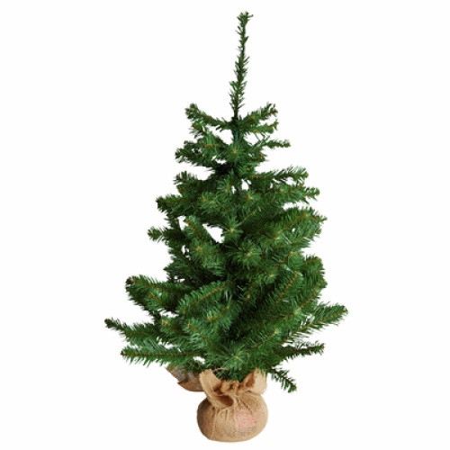 Tanne 90 cm Burlap Alpine 1ST Tanne 90 cm Burlap Alpine 1ST