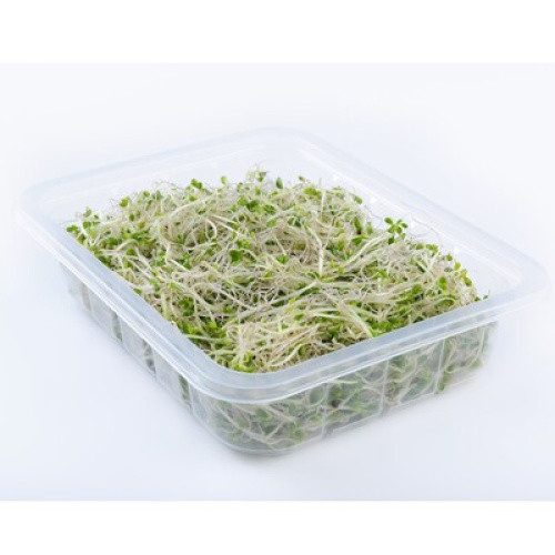 Sprosse Brokkoli frisch 50g Sprosse Brokkoli frisch 50g