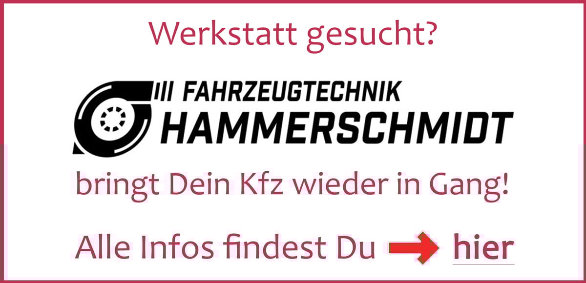 Banner-fuer-Hammerschmidt-Neu