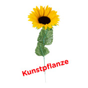 Maxi-Sonnenblume Maxi-Sonnenblume