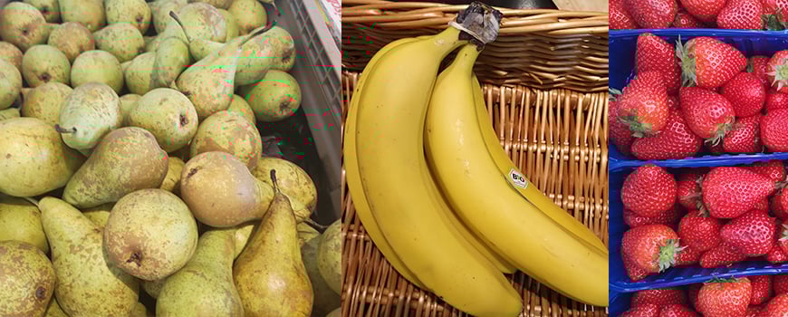 Kann ich Bananen im Kühlschrank aufbewahren? Tipps vom „Grünfutter“ in Hilden