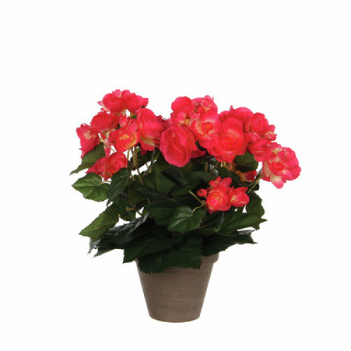 Mica Decorations Begonien Kunstpflanze im Blumentopf Stan Dunkelrosa 1St Mica Decorations Begonien Kunstpflanze im Blumentopf Stan Dunkelrosa 1St