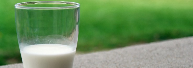 Laktosefreie Lebensmittel Laktosefreie Lebensmittel