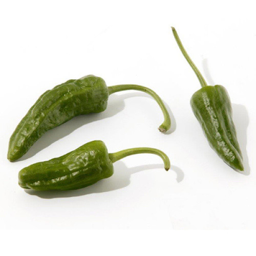 Peperoni Pimiento de Padron kg Peperoni Pimiento de Padron kg