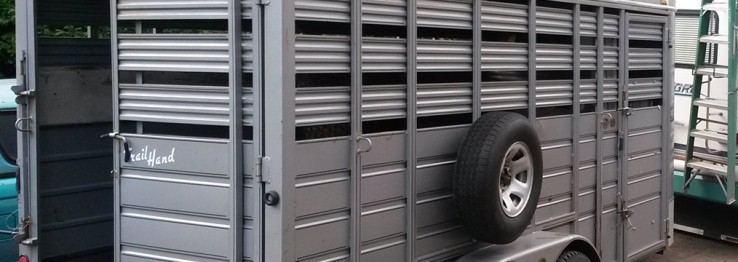 Tiertransport Tiertransport