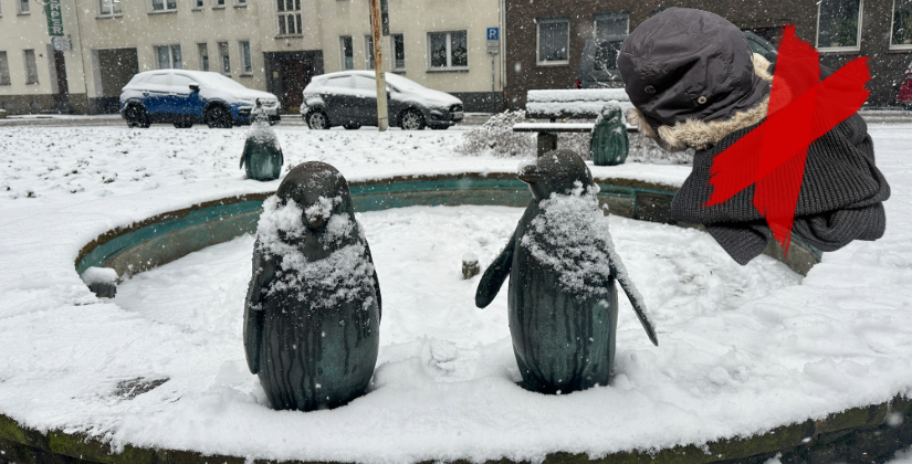 Unsere 'armen Pinguine' müssen heuer leider frieren