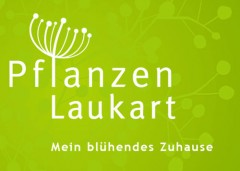 Pflanzen Laukart
