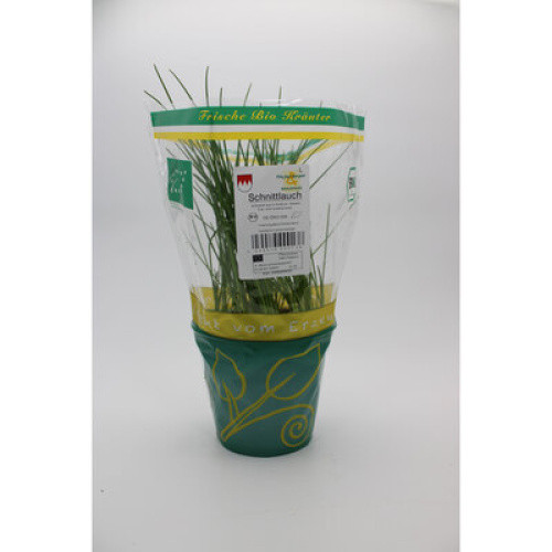 Bio Schnittlauch frisch 1ST Bio Schnittlauch frisch 1ST