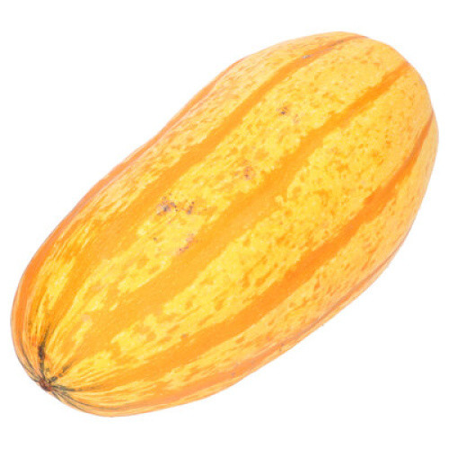 Kürbis Spaghetti 444g Kürbis Spaghetti 444g