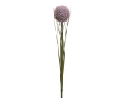 Kunstblume ALLIUM FROZEN lila
Kunstblume ALLIUM FROZEN lila Kunstblume ALLIUM FROZEN lila
Kunstblume ALLIUM FROZEN lila
